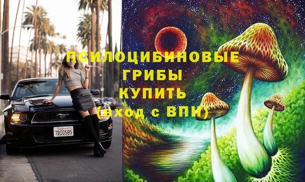 СК Алексин